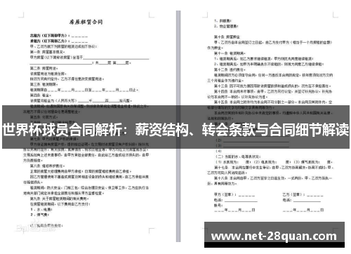 世界杯球员合同解析：薪资结构、转会条款与合同细节解读