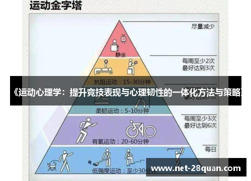 《运动心理学：提升竞技表现与心理韧性的一体化方法与策略》