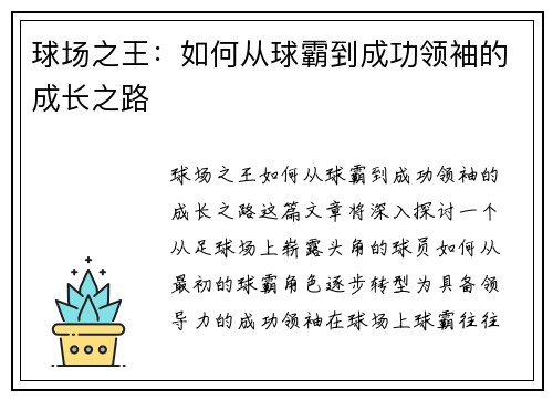 球场之王：如何从球霸到成功领袖的成长之路