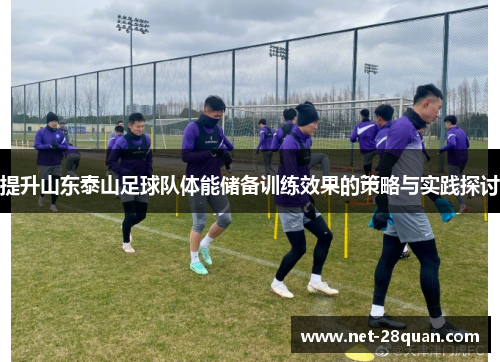 提升山东泰山足球队体能储备训练效果的策略与实践探讨