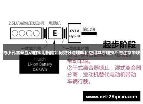 与小孔塞桑互动的实用指南如何更好地理解和应用其原理技巧与注意事项