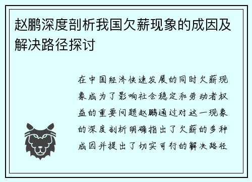 赵鹏深度剖析我国欠薪现象的成因及解决路径探讨